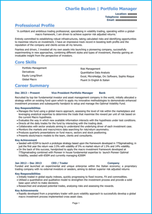 nvestment banking CV example