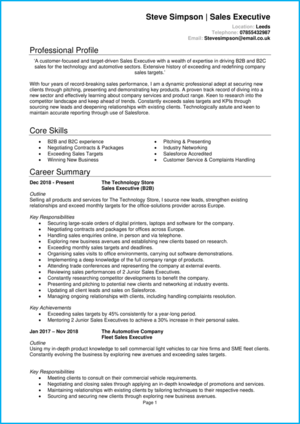 Sales executive CV example