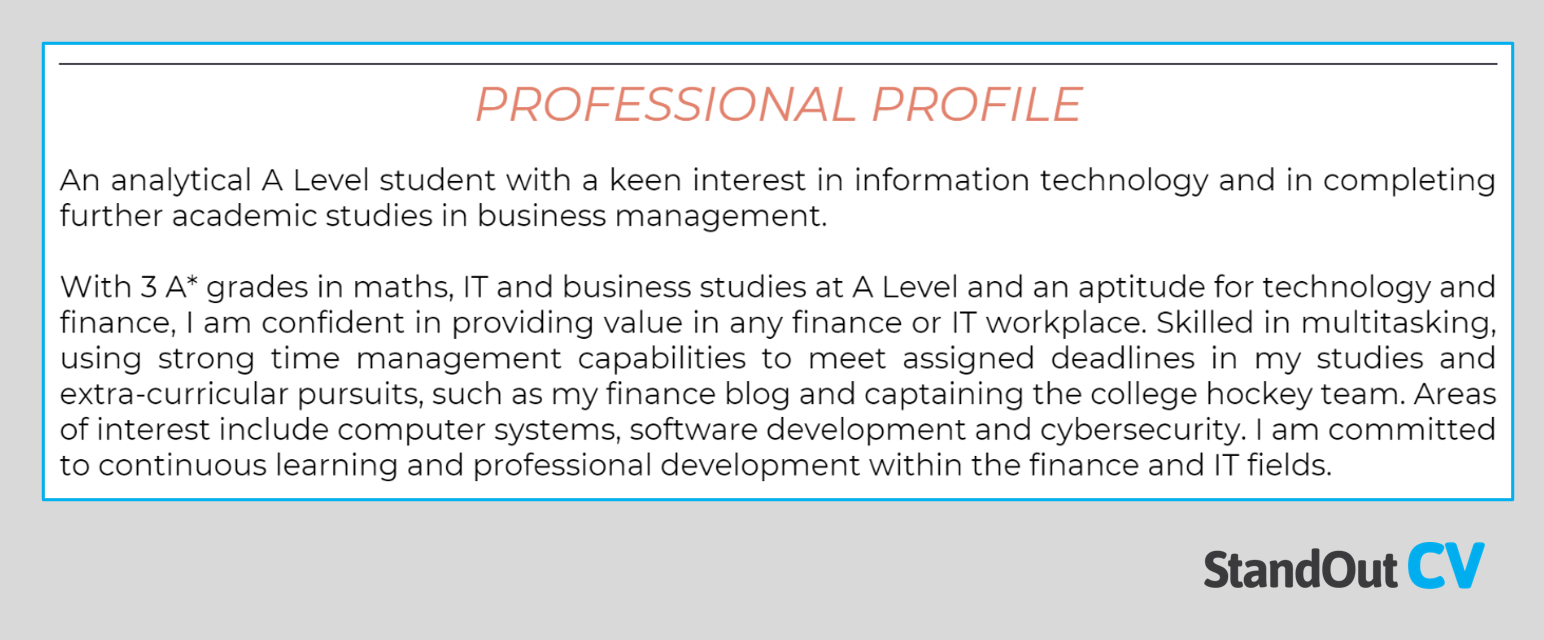 14 CV Personal Profile Examples How To Write 48 OFF