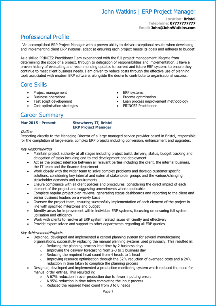 ERP Project Manager CV 1