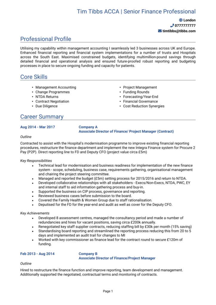 6 executive CV examples 2024 + CV templates and guide