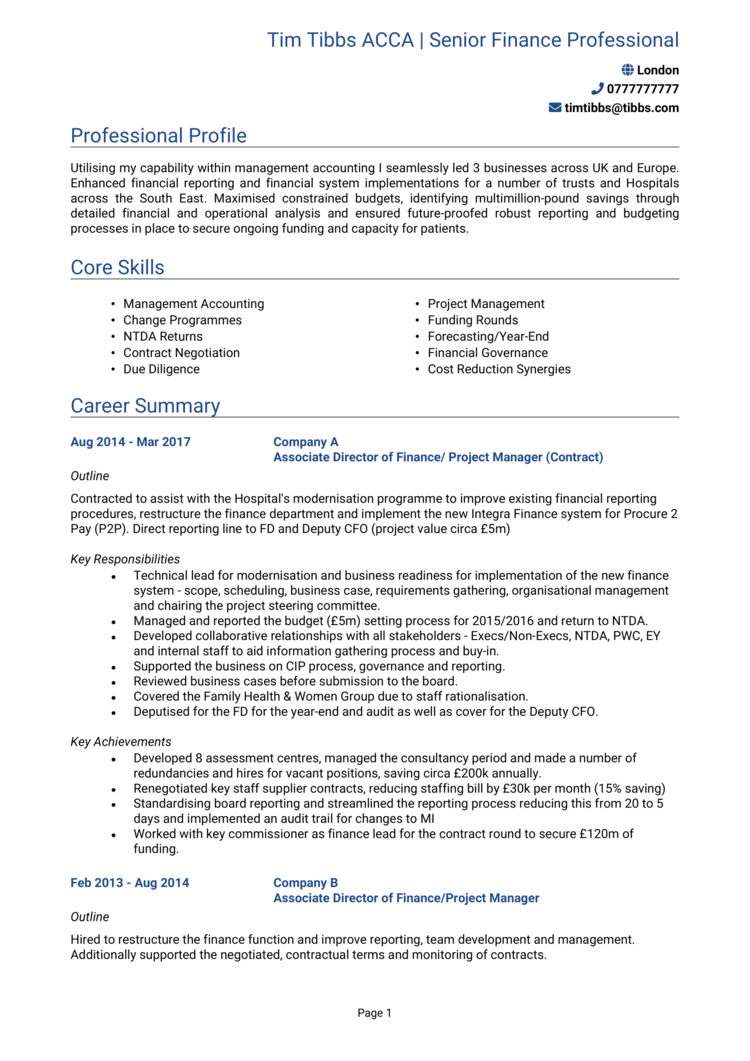 Finance Executive CV-1