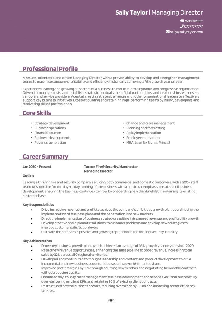 Top Executive Cv Examples