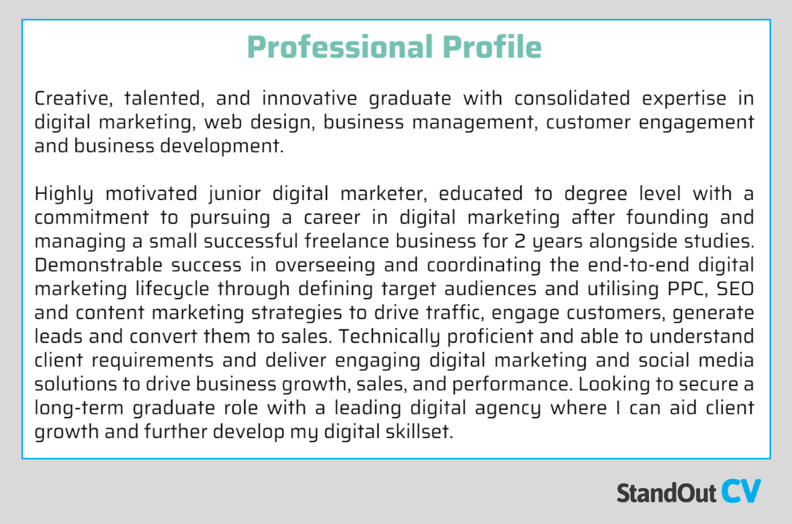 Graduate with part time freelance experience CV personal statement