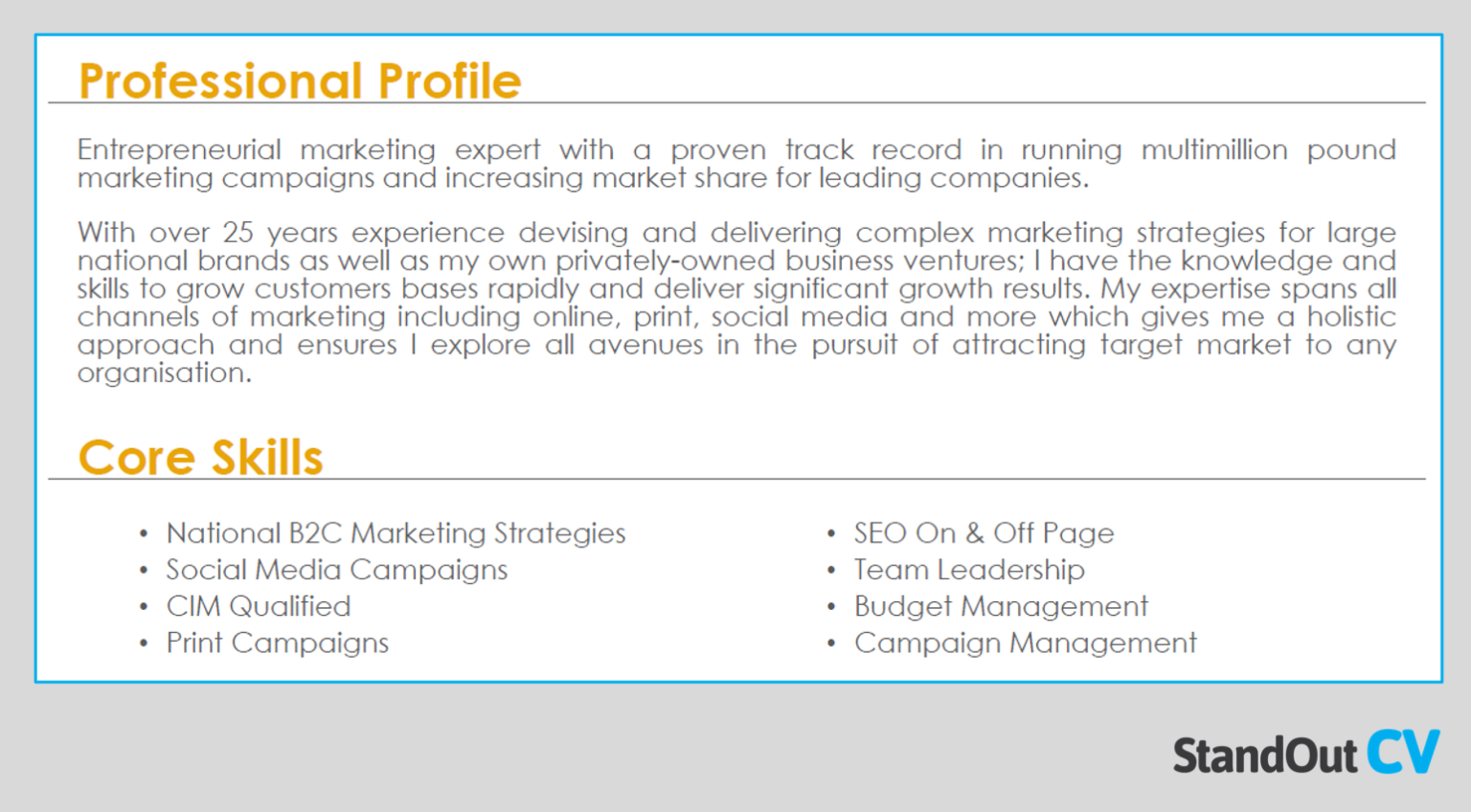 25 Powerful CV profile examples + templates [get noticed]