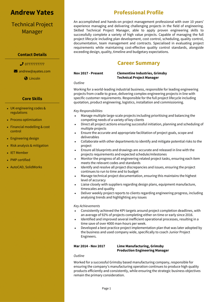 Technical Project Manager CV 1