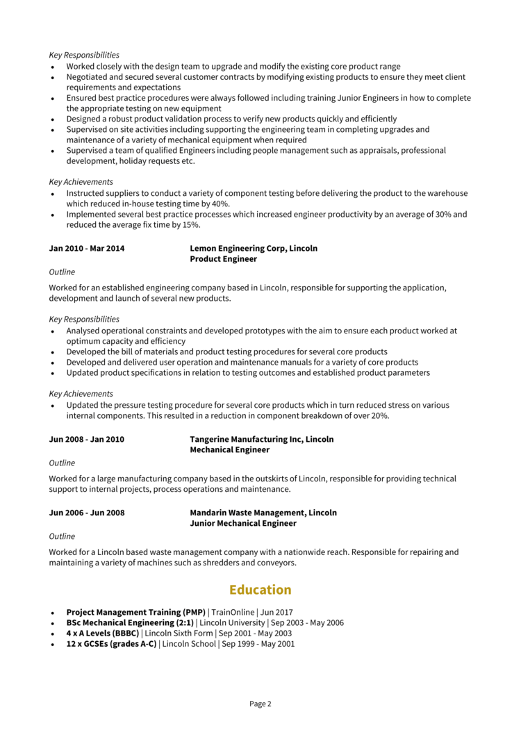 Technical Project Manager CV 2