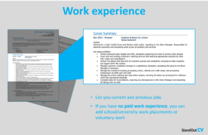 Work experience CV