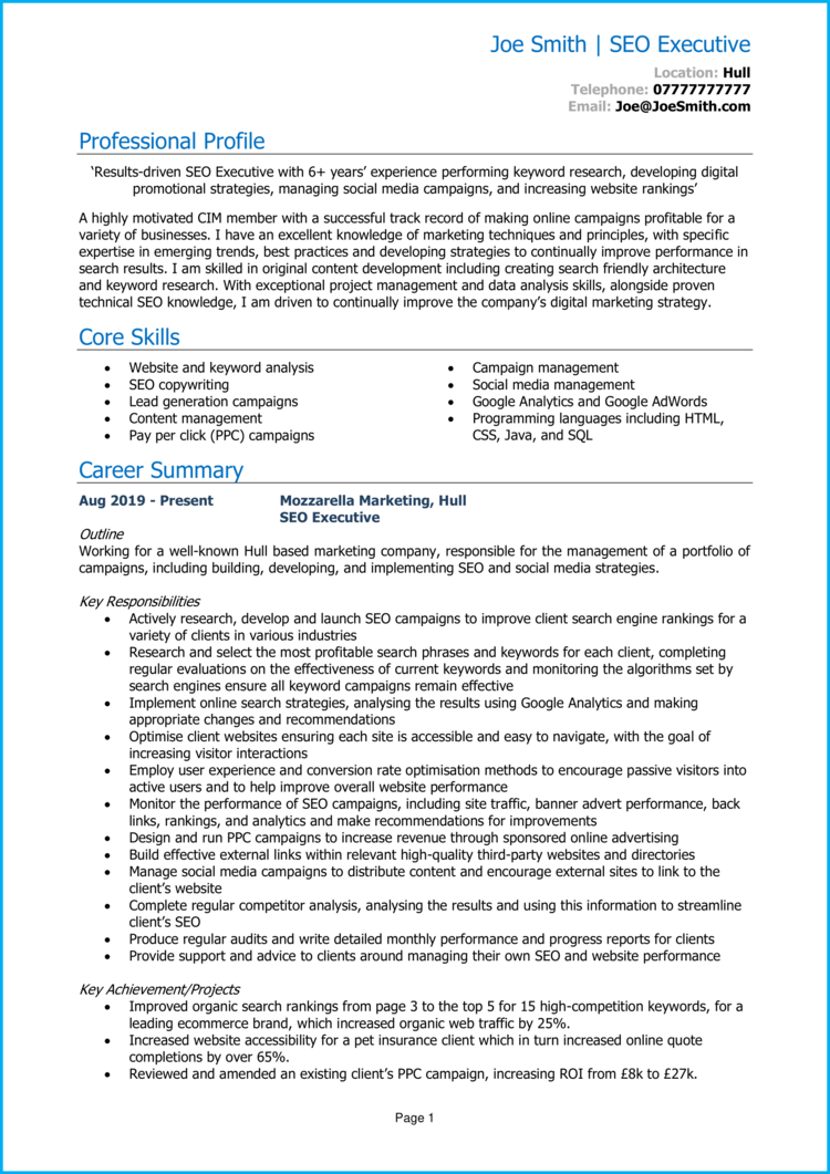 SEO Executive CV 1