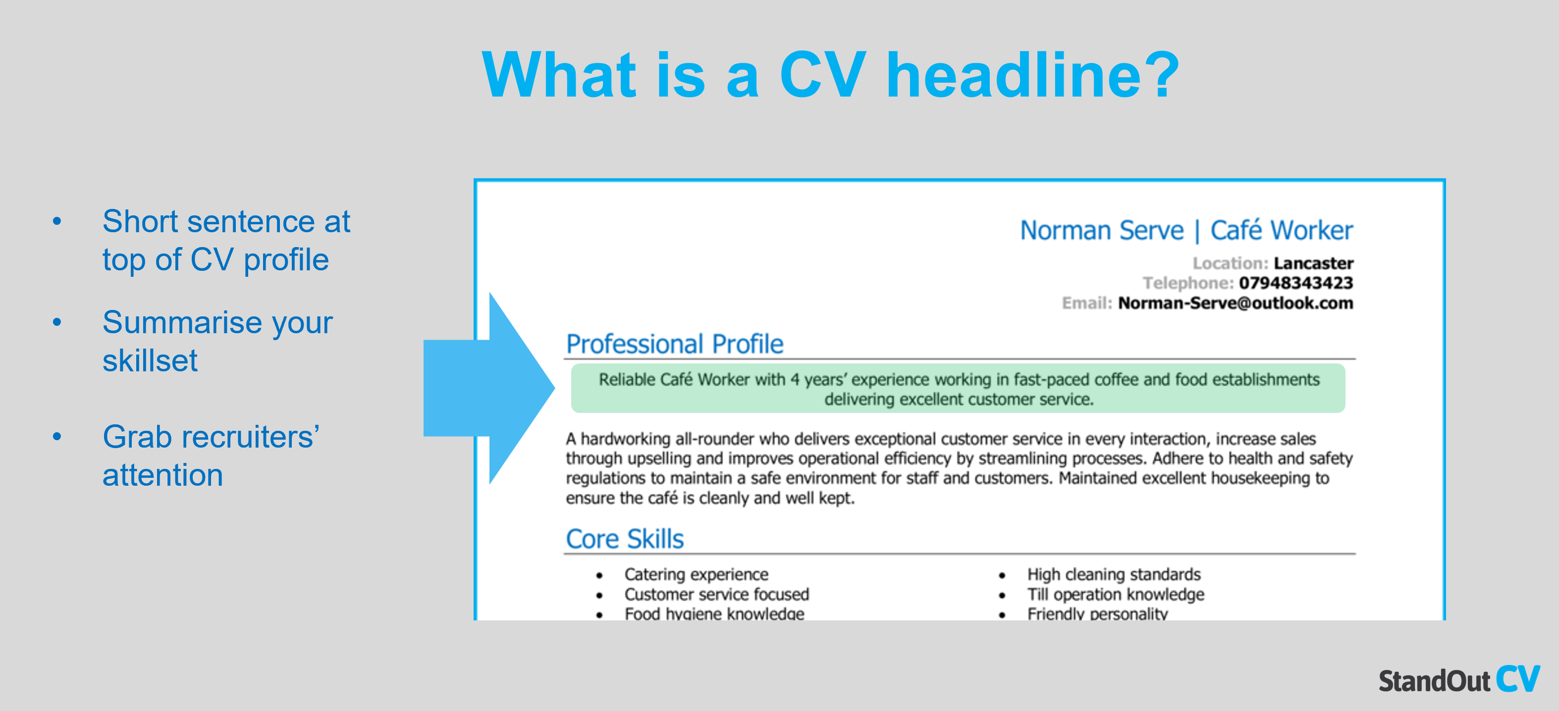 resume profile headline examples