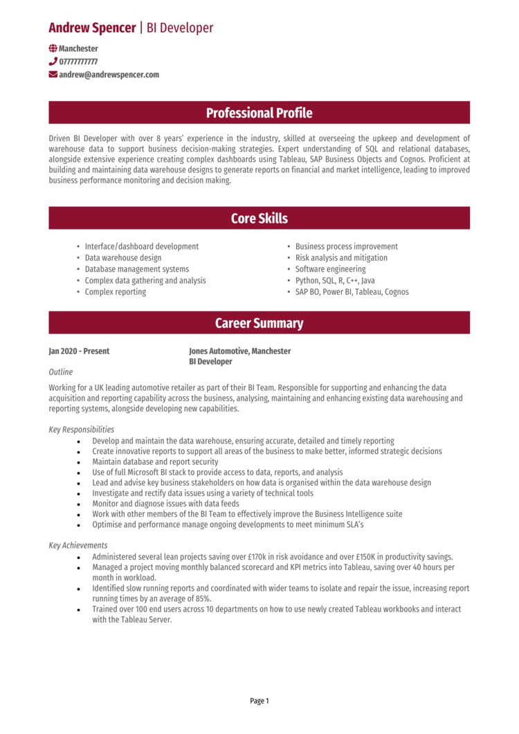 BI developer CV 1