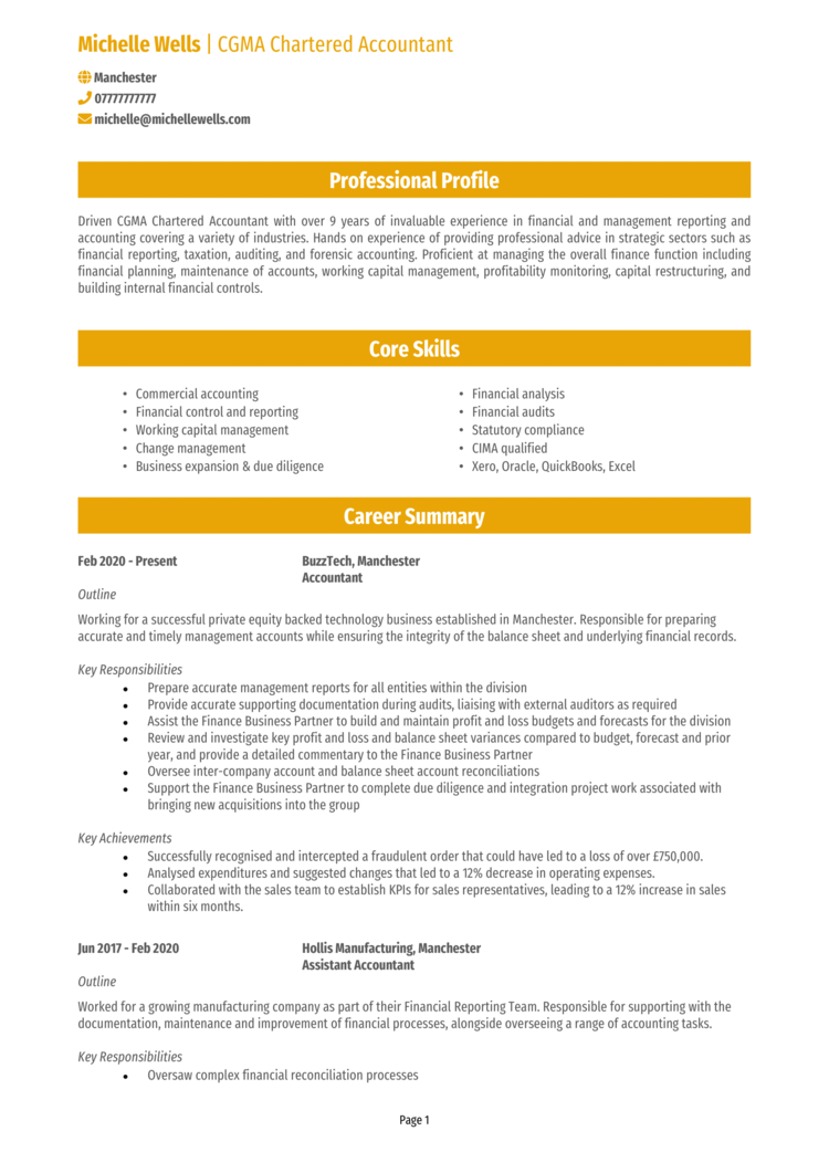 Chartered Accountant CV 1