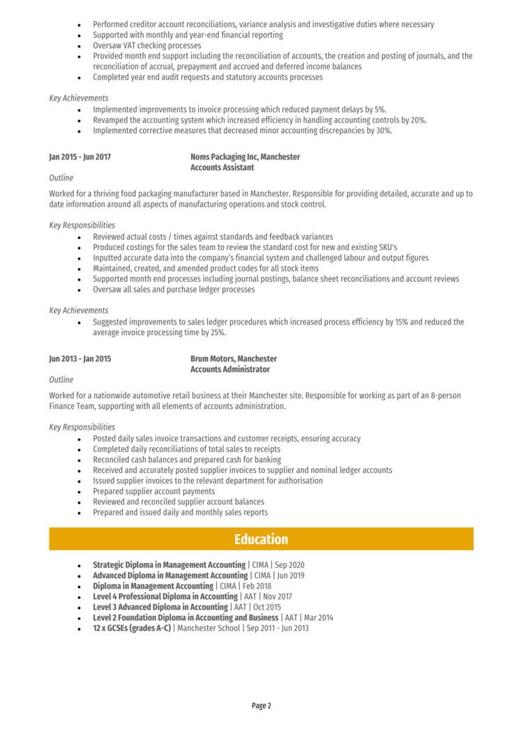 Chartered Accountant CV 2