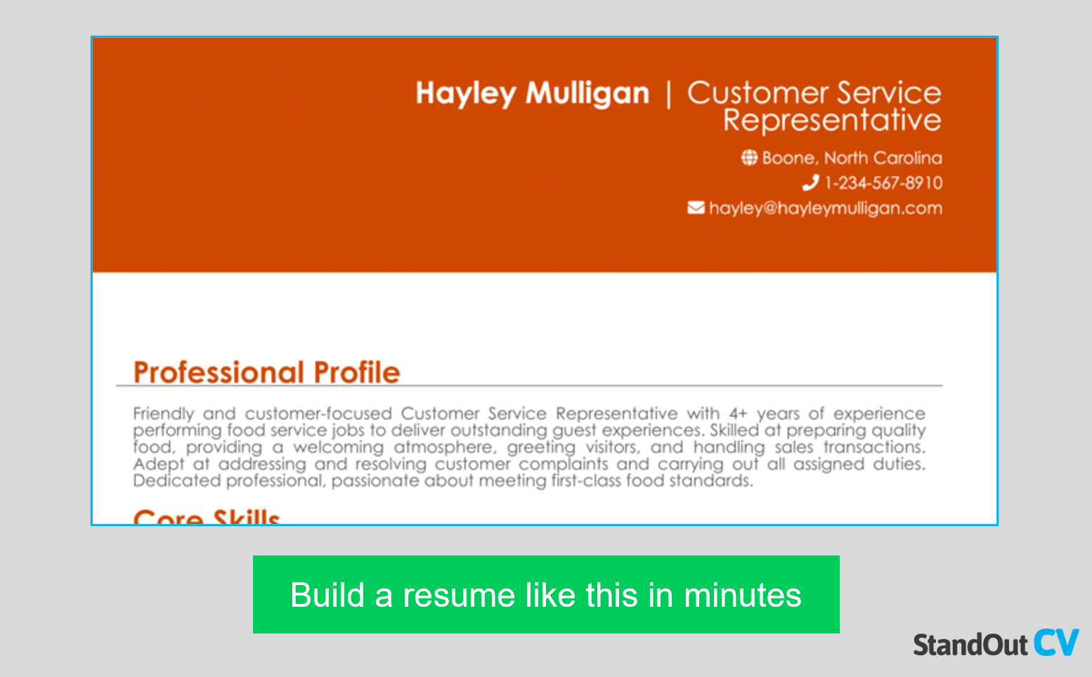 Customer service resume summary example