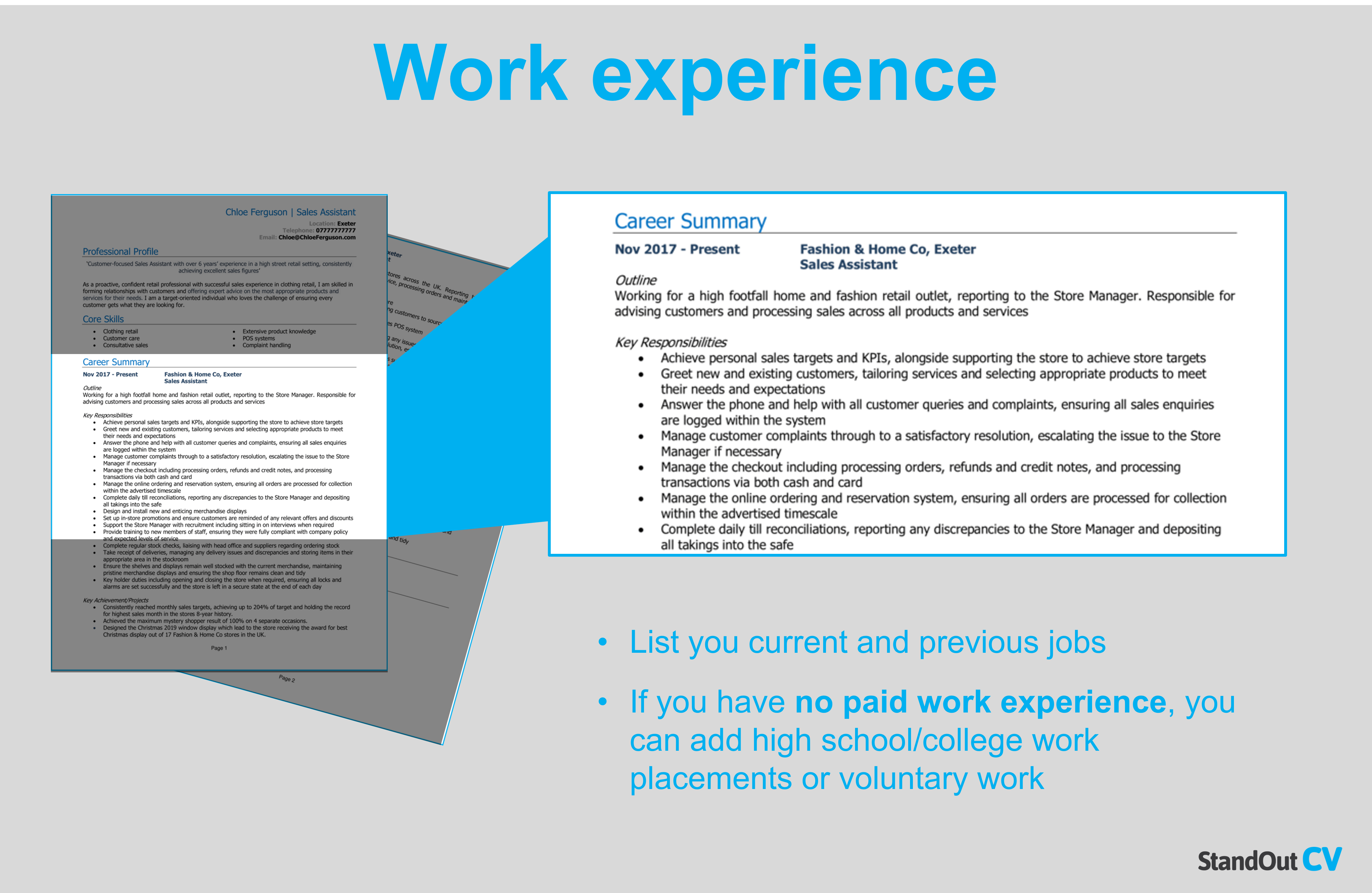 Resume work experience