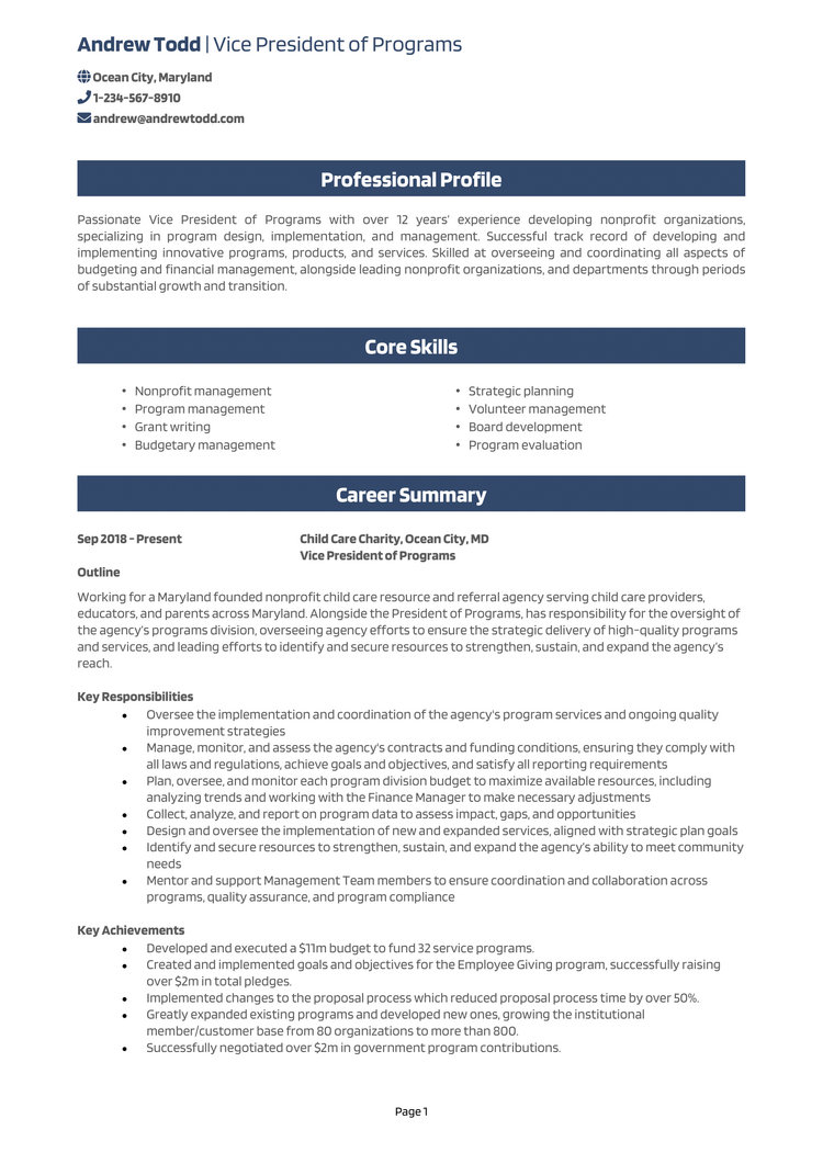 resume examples for vice president