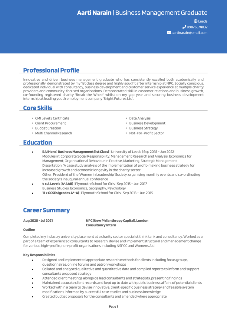 Junior CV template design