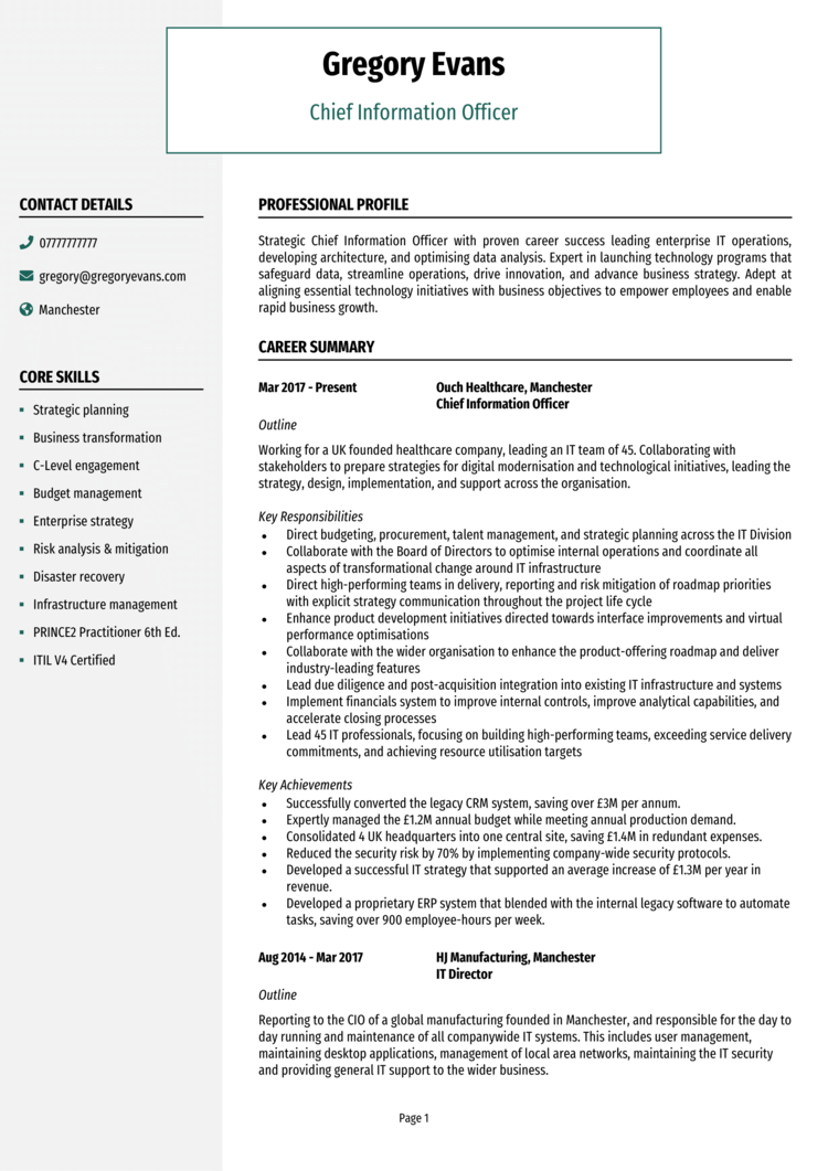 cio resume examples 2022