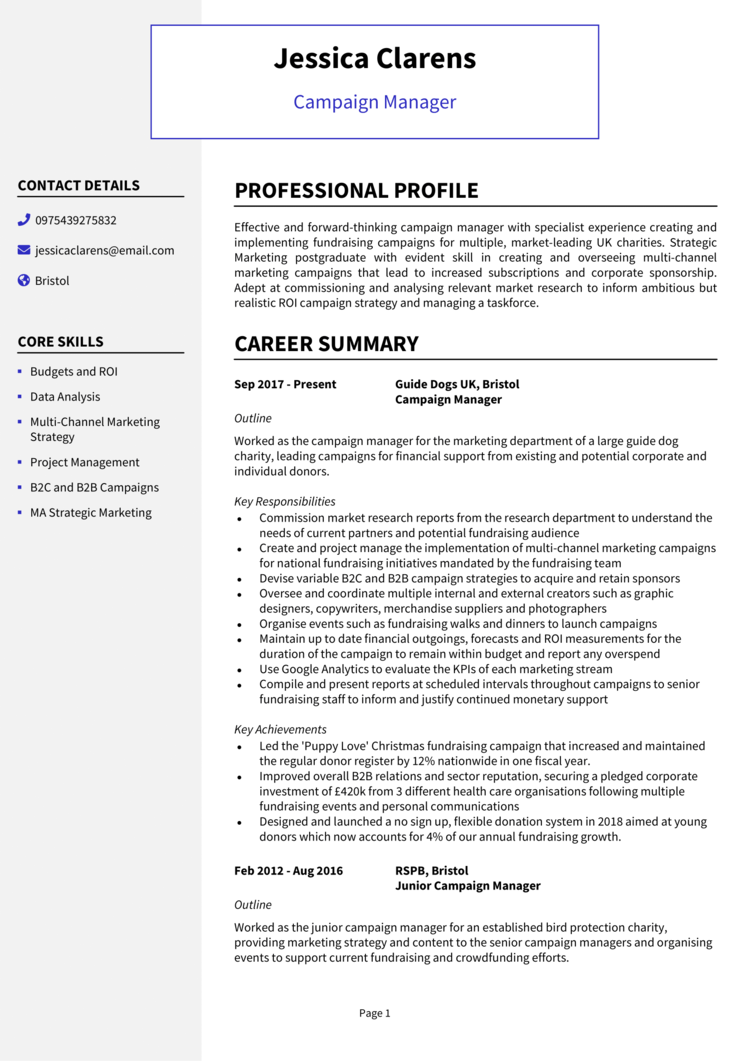 Campaign Manager CV 1