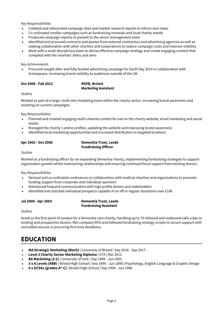 Campaign Manager CV 2