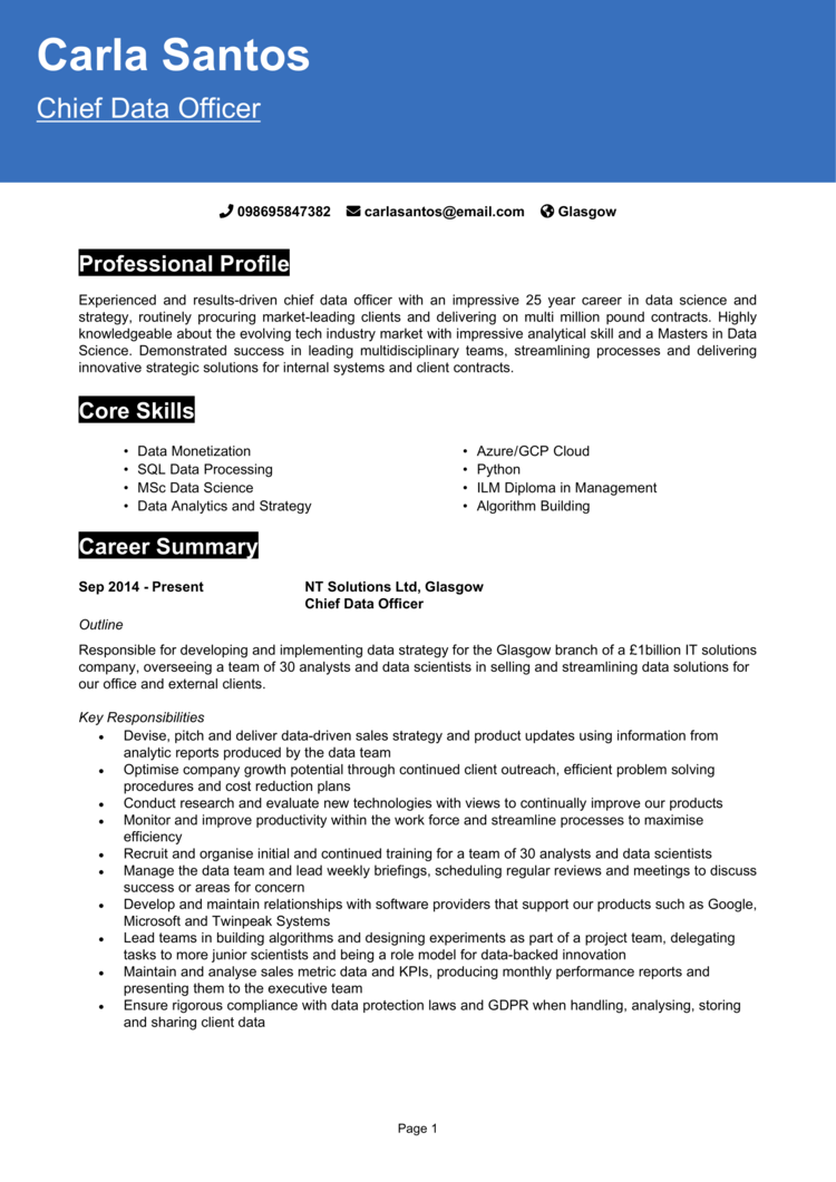 Chief Data Officer CV example + guide [Get noticed]