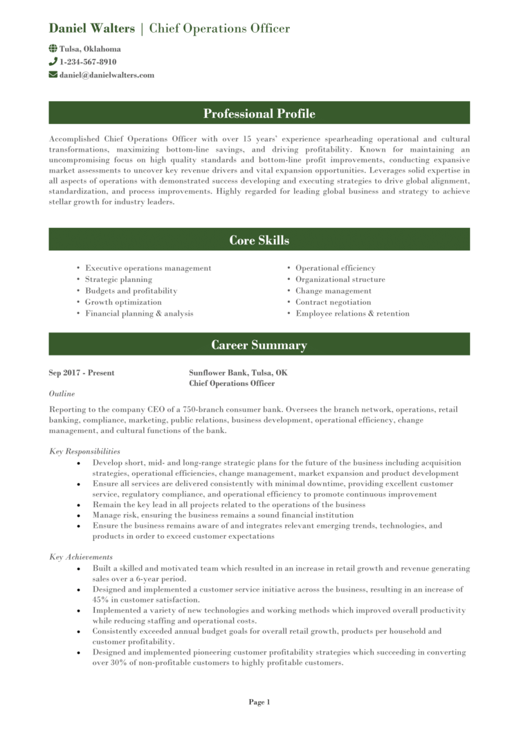 Chief Operations Officer Resume 1