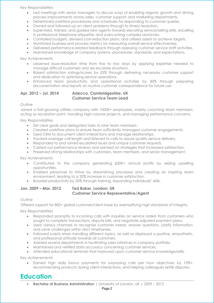 Customer Success Manager CV 2