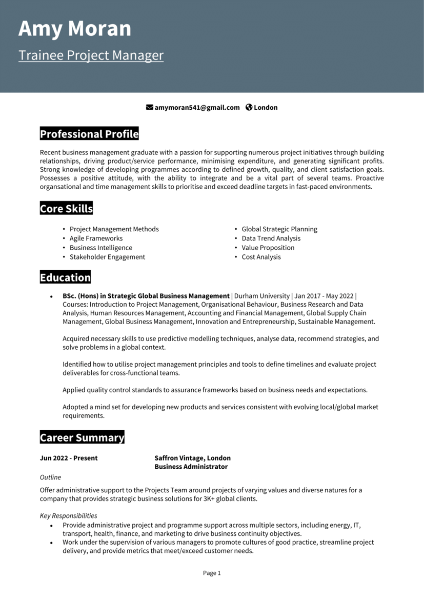 Project Manager No Experience CV 1