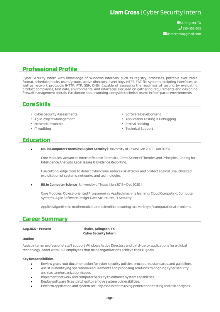 Cyber Security Intern resume example + guide [Land jobs]