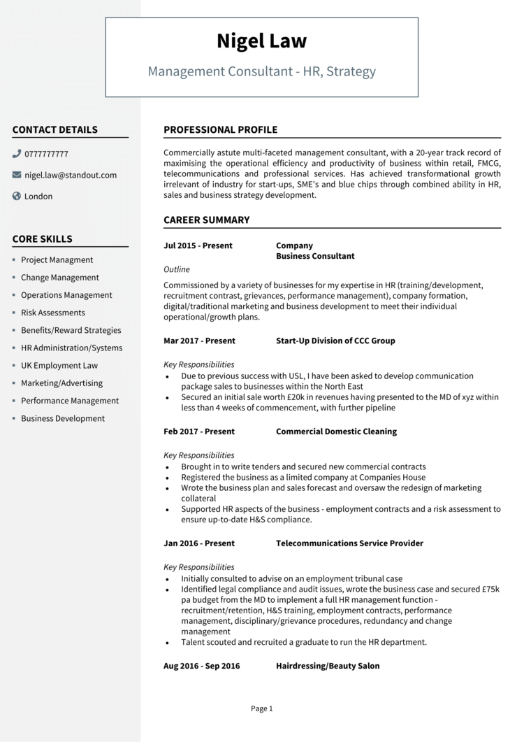 Management Consultant CV-1