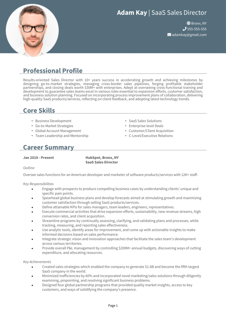 SaaS Sales Director Resume 1