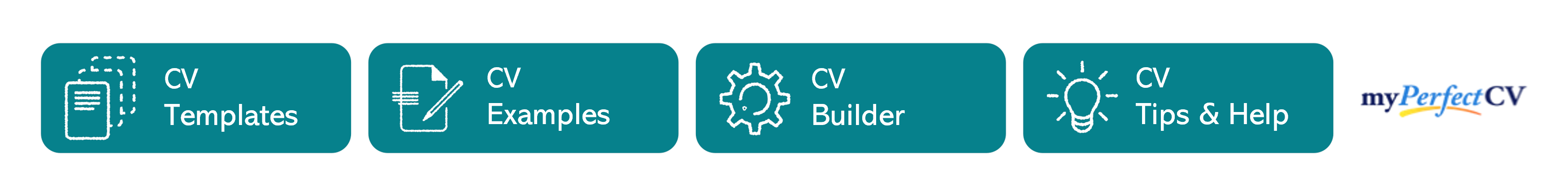 Bold CV builder - small