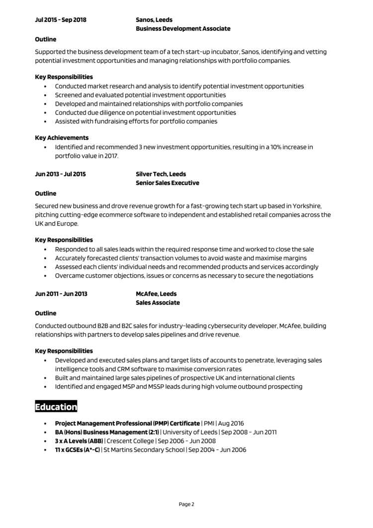 Business Development Executive CV 2