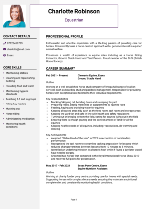 Good CV examples for 2026 that will get you hired