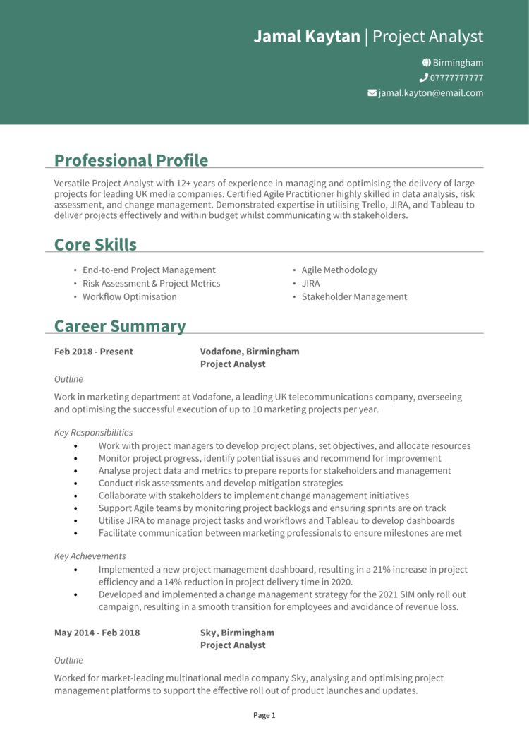 Project Analyst CV 1