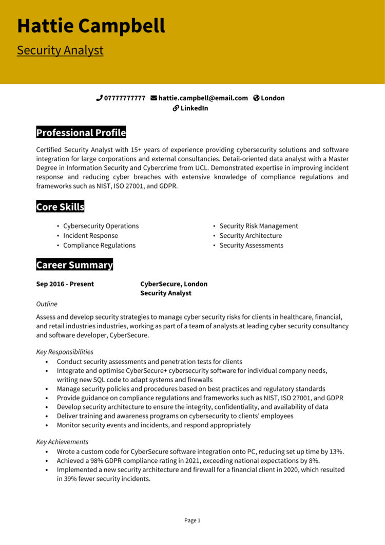 Security Analyst CV 1