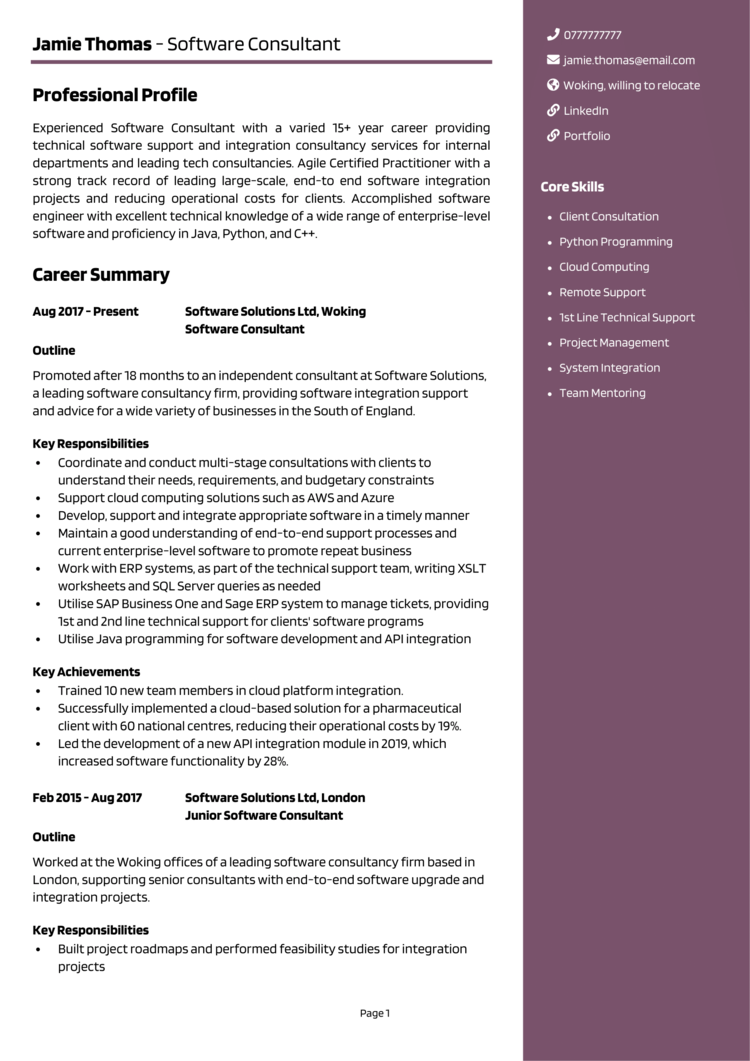 Software Consultant CV 1