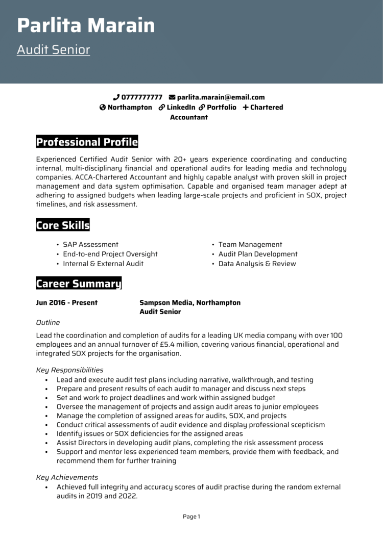 Audit Senior CV 1