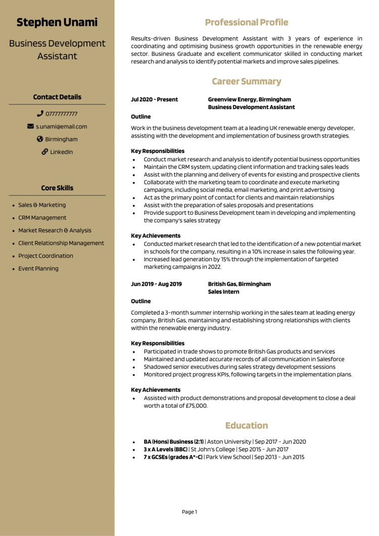 Business Development Assistant CV 1