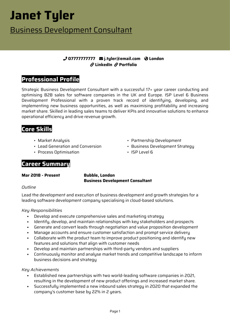 Business Development Consultant CV 1