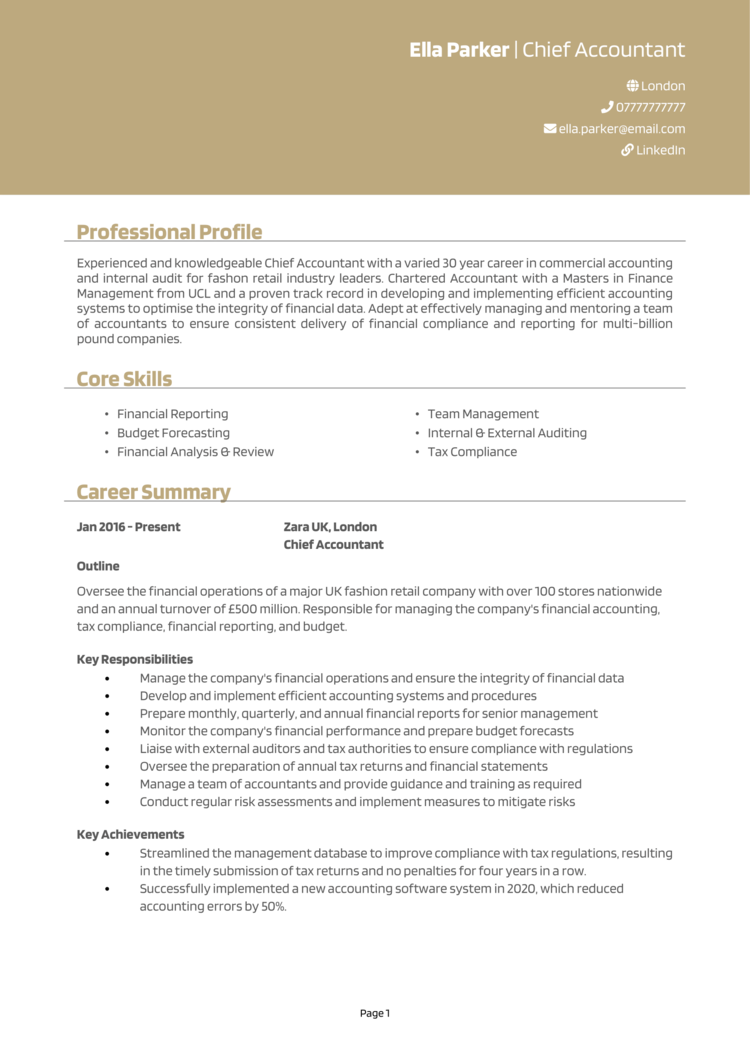 Chief Accountant CV 1