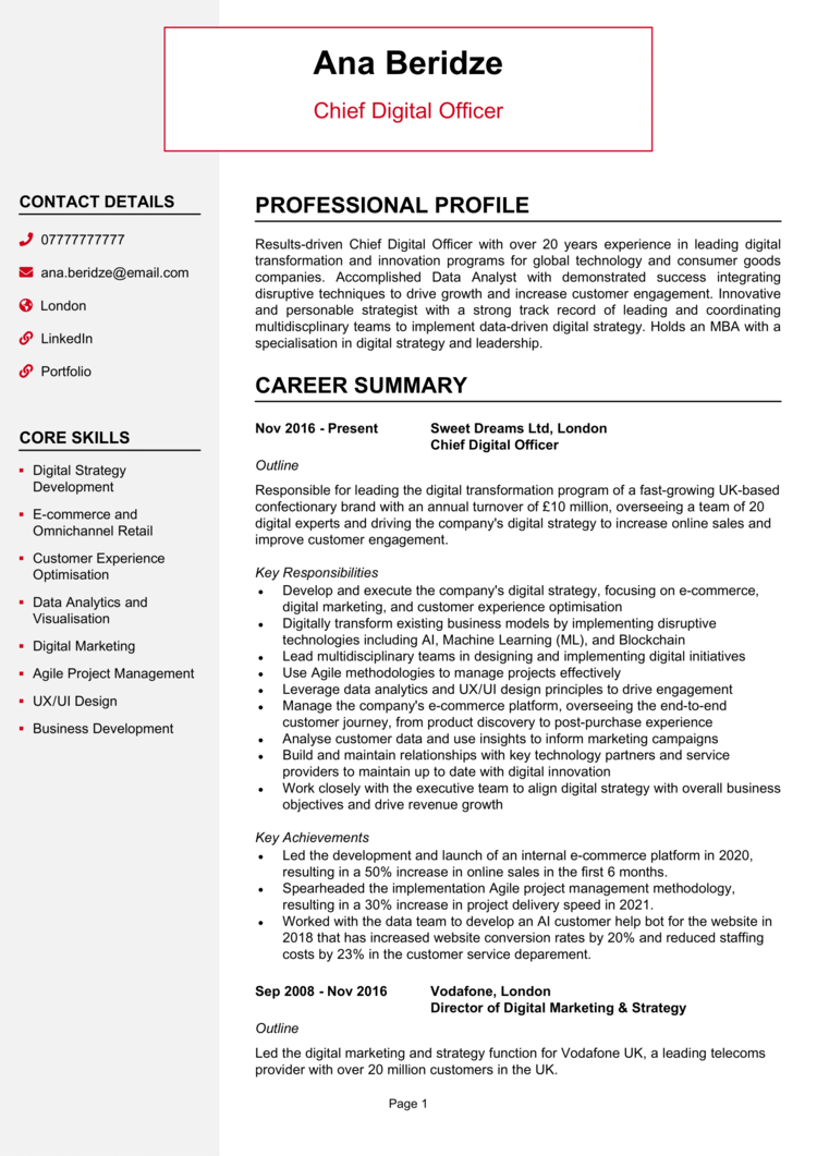 Chief Digital Officer CV 1