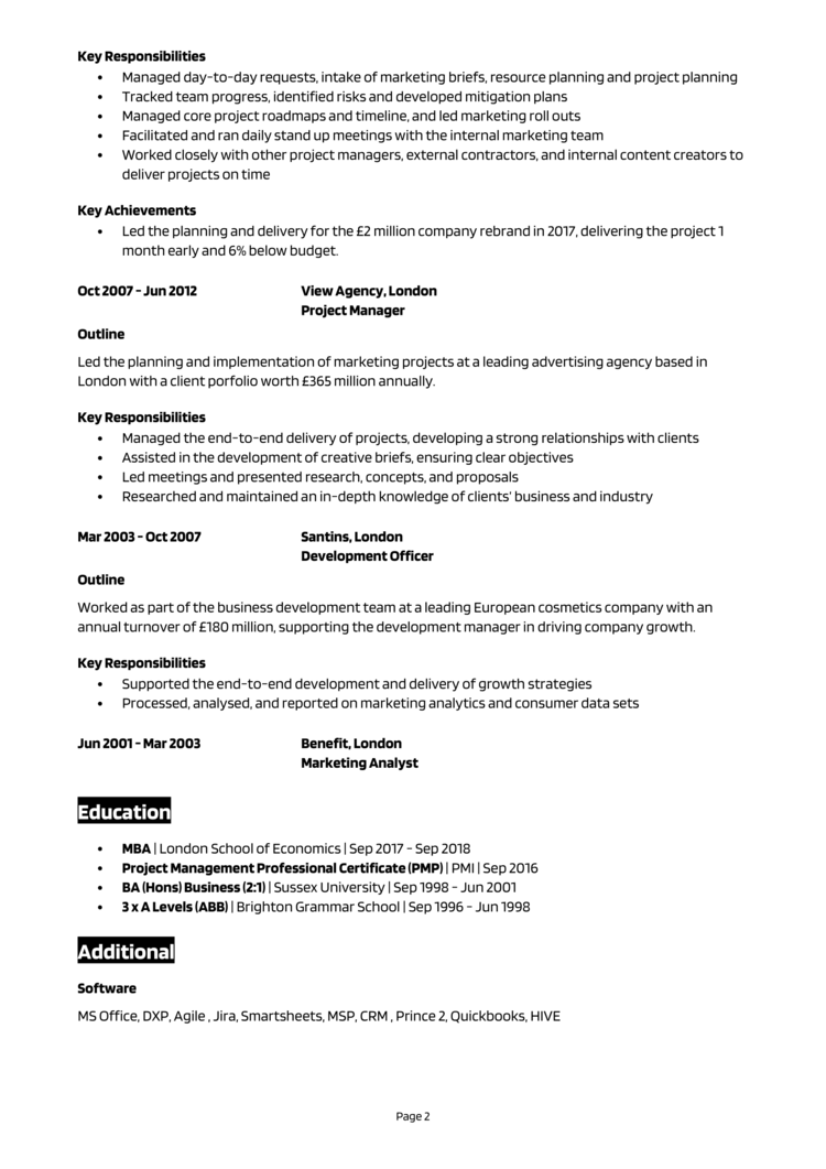 Senior Project Manager CV 2