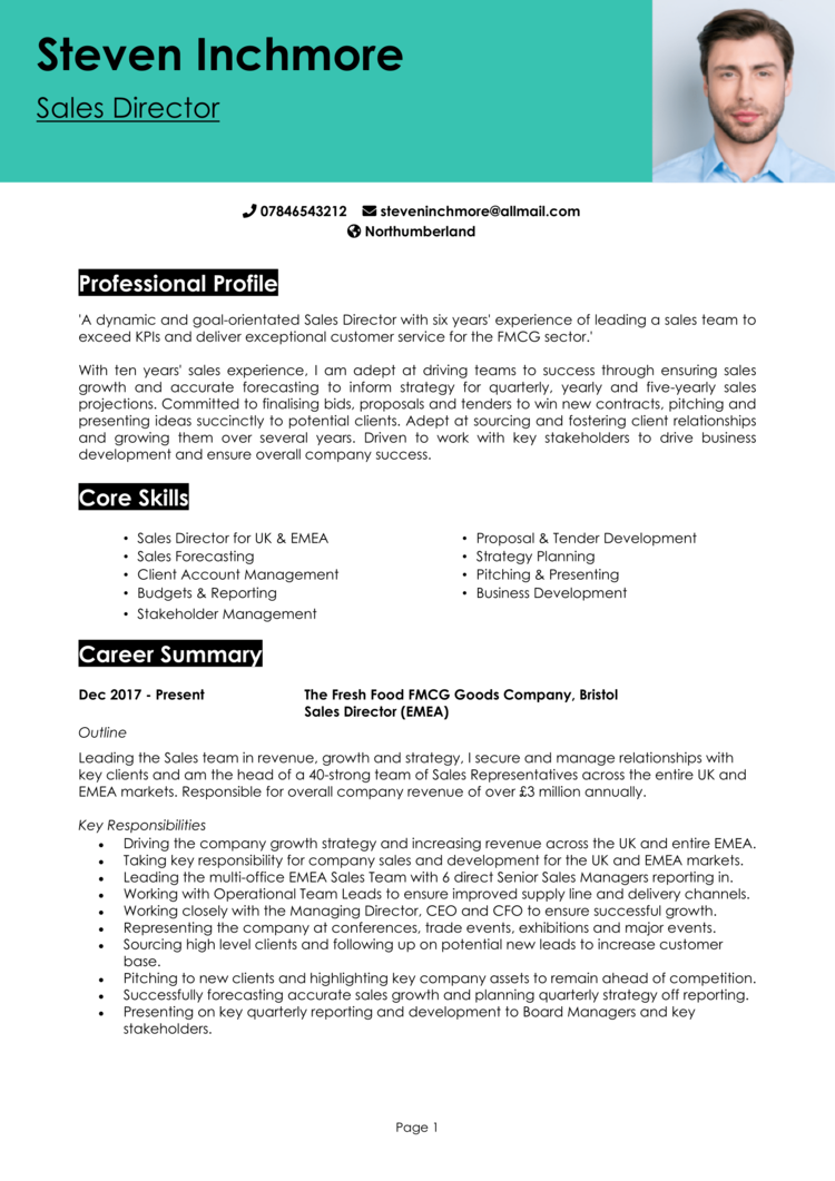 4 Director CV Examples Guide To Land Top Executive Jobs