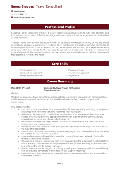 Travel Consultant CV examples